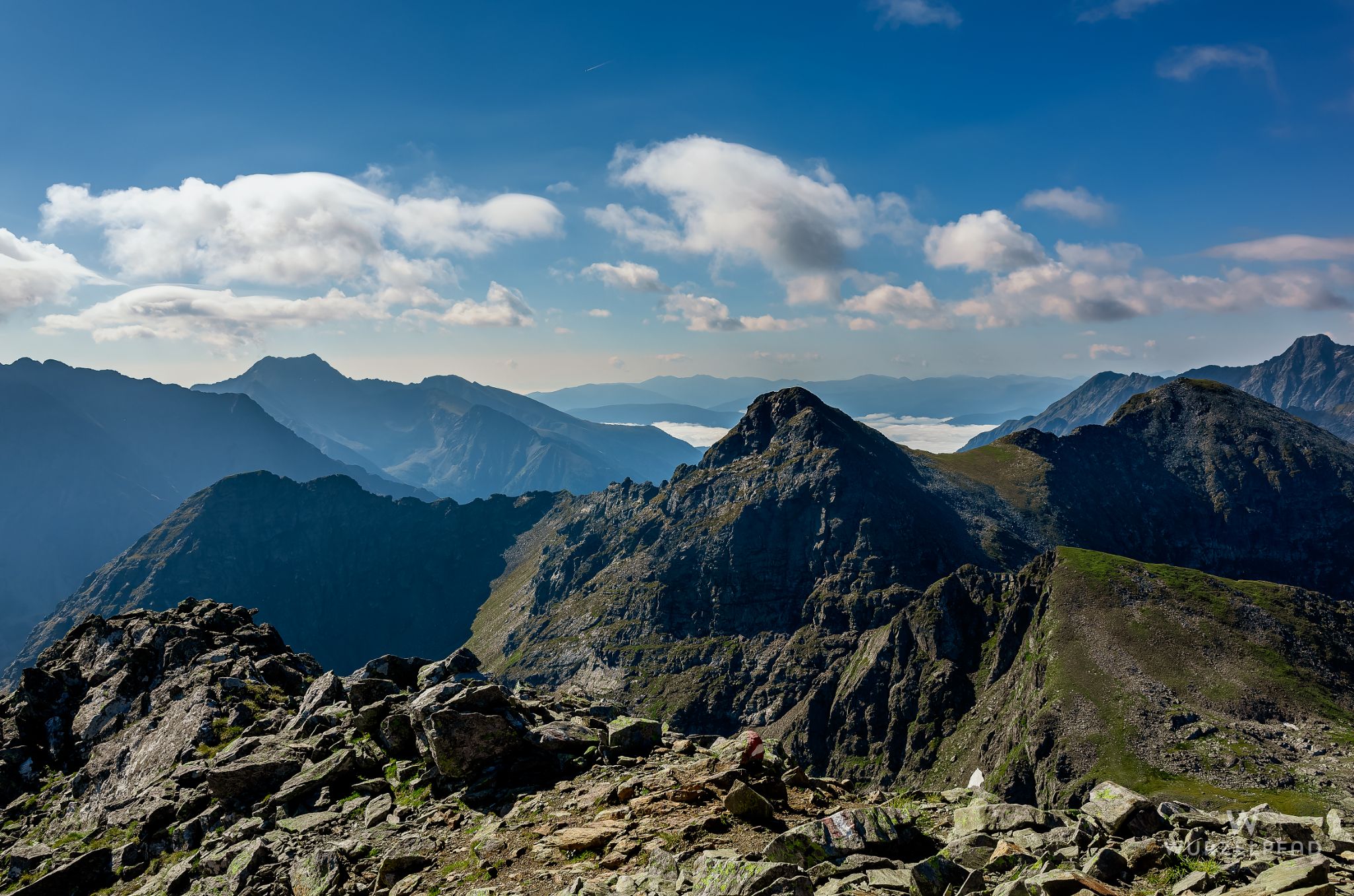Am Gipfelanstieg zum Greifenberg